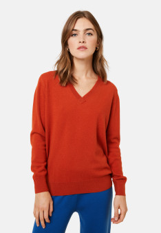 Cashmere V-neck sweater - Abel