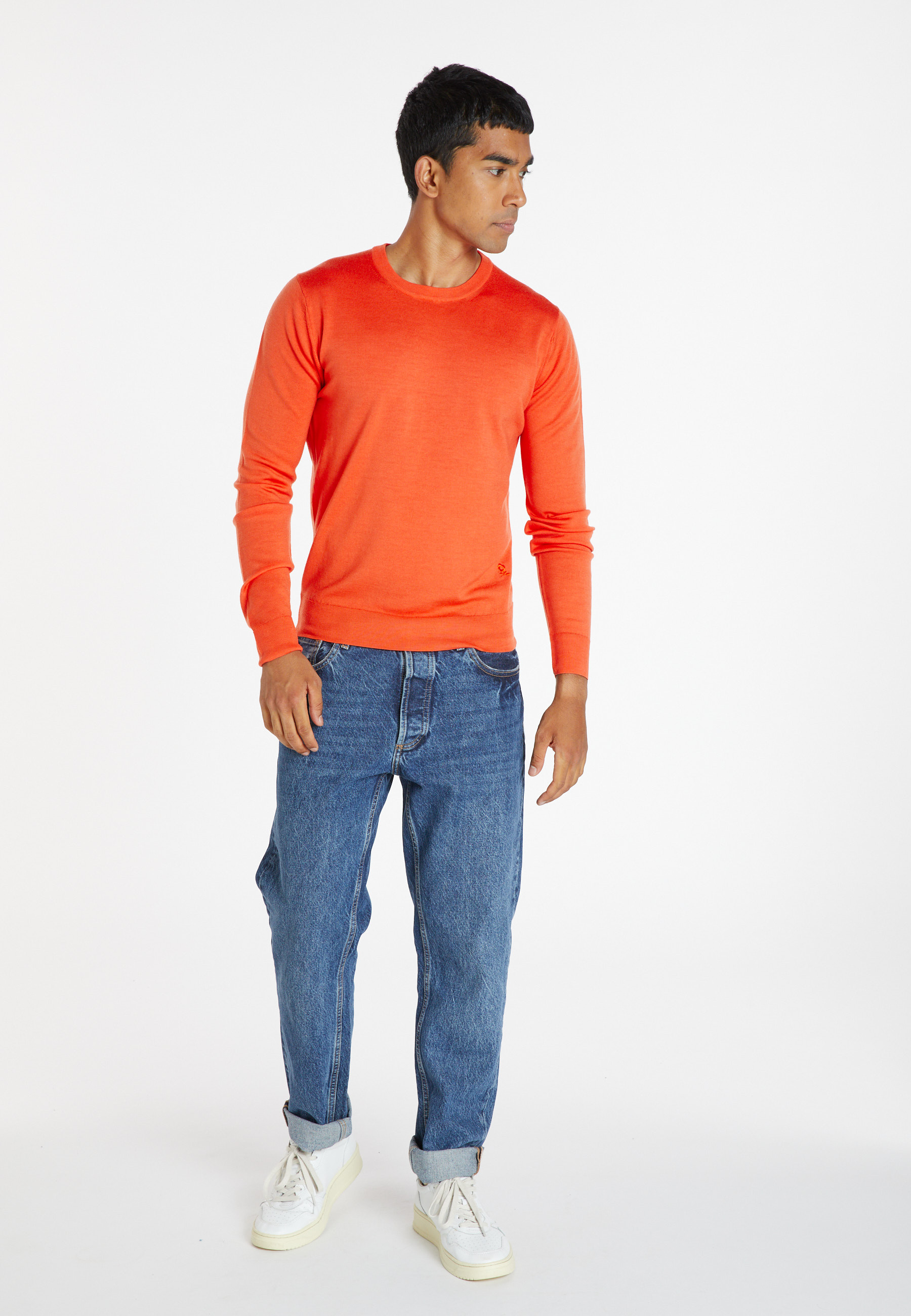 Crew neck sweater with logo in merino wool - Eddie