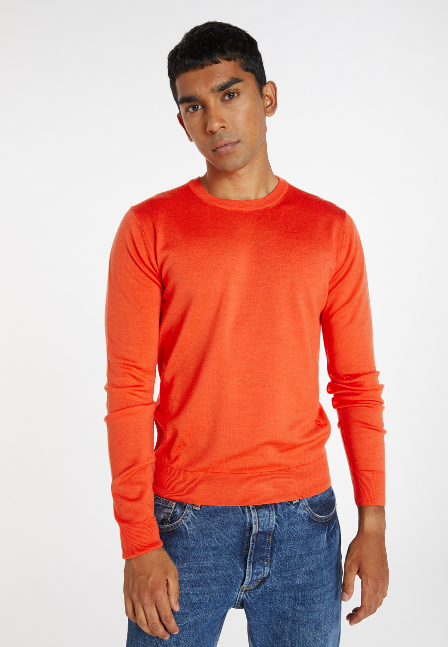 Crew neck sweater with logo in merino wool - Eddie