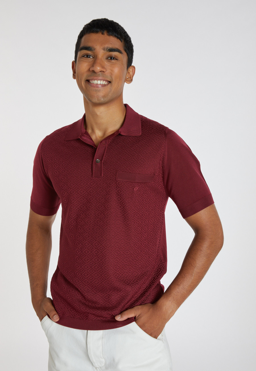 Fil Lumière patterned polo shirt - Albin