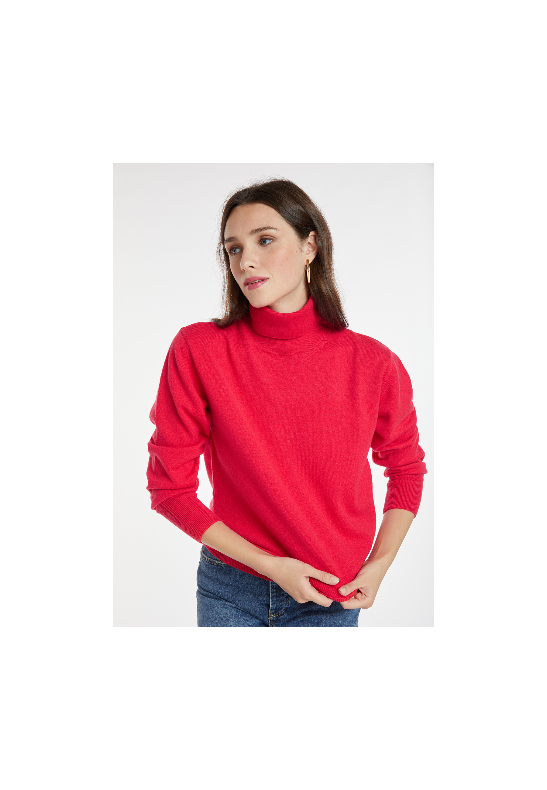 Pull col roulé en cachemire - Anabelle 8280