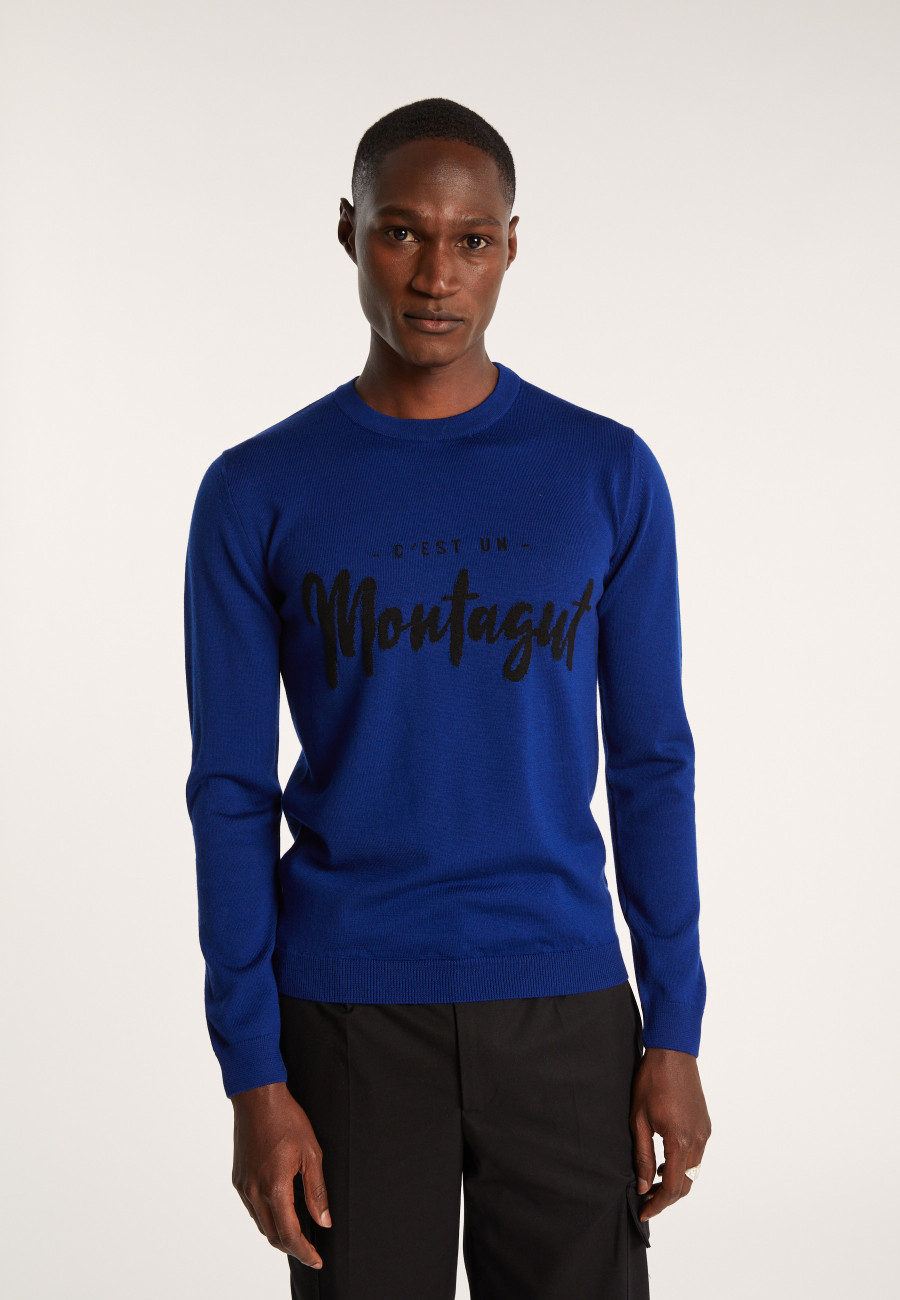 Merino wool sweater - Lion