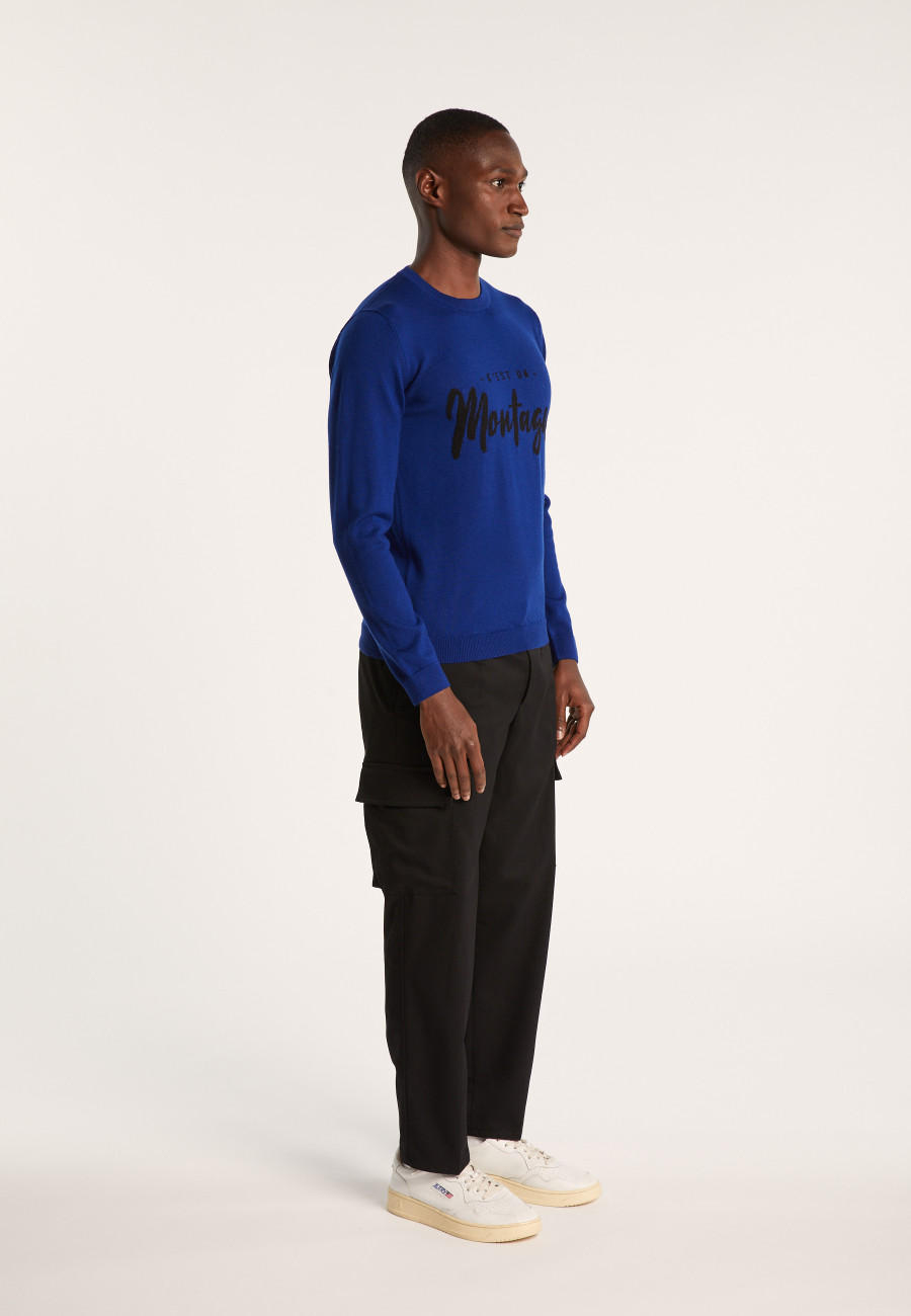Merino wool sweater - Lion