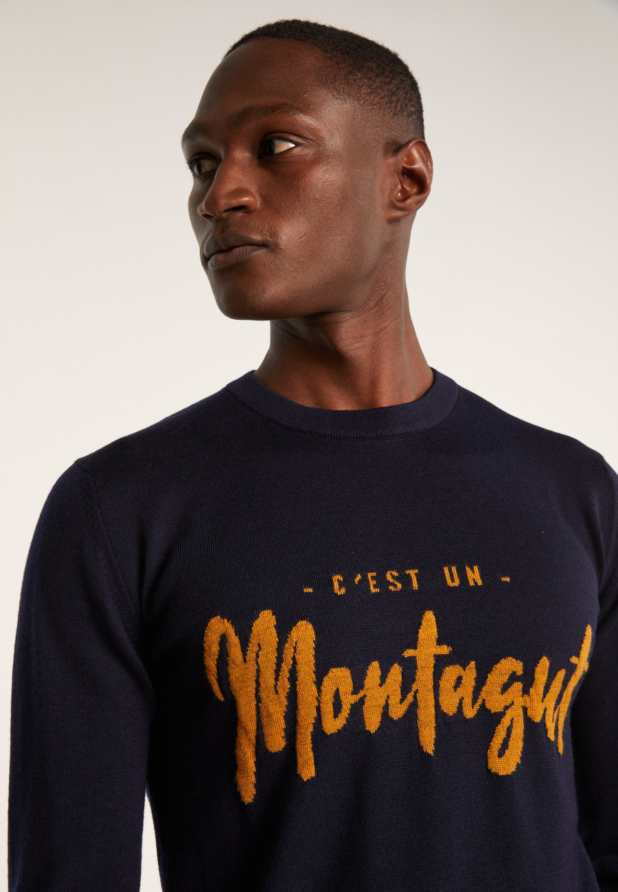 Merino wool sweater - Lion