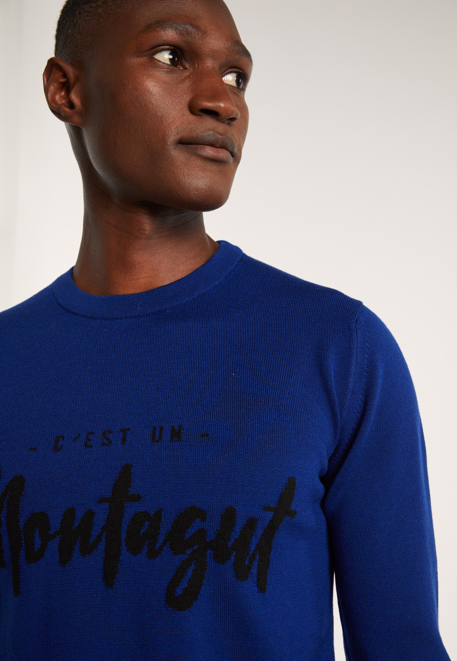 Merino wool sweater - Lion