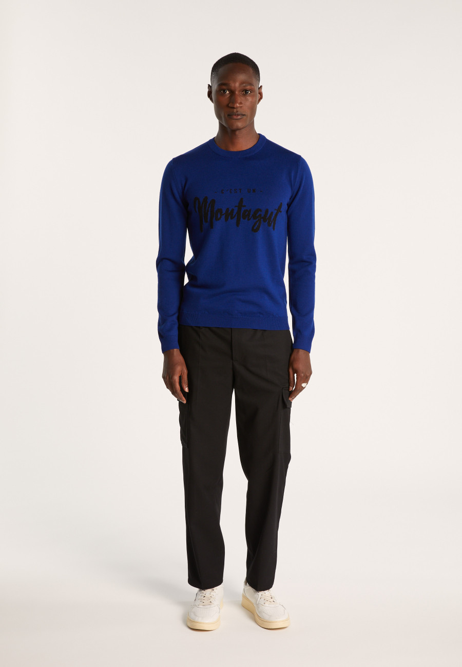 Merino wool sweater - Lion