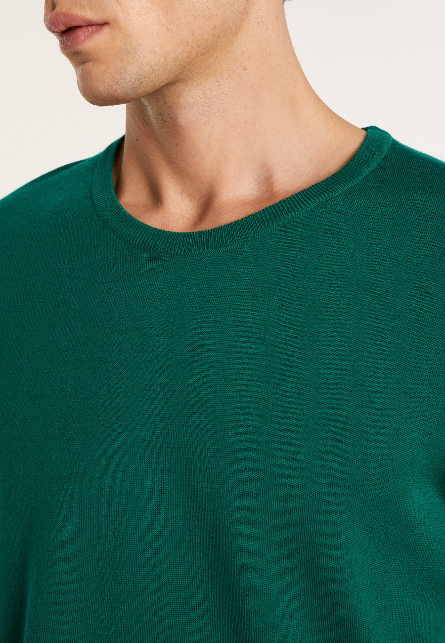 Crewneck sweater in merino wool - Bertille