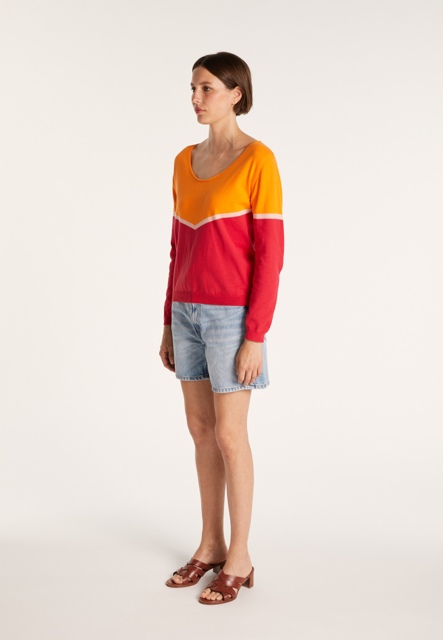 Tricolor cotton sweater - Audrey