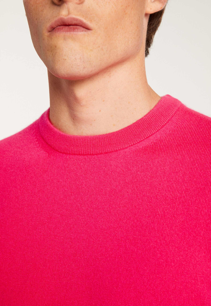 Cashmere Crewneck Sweater - Evain