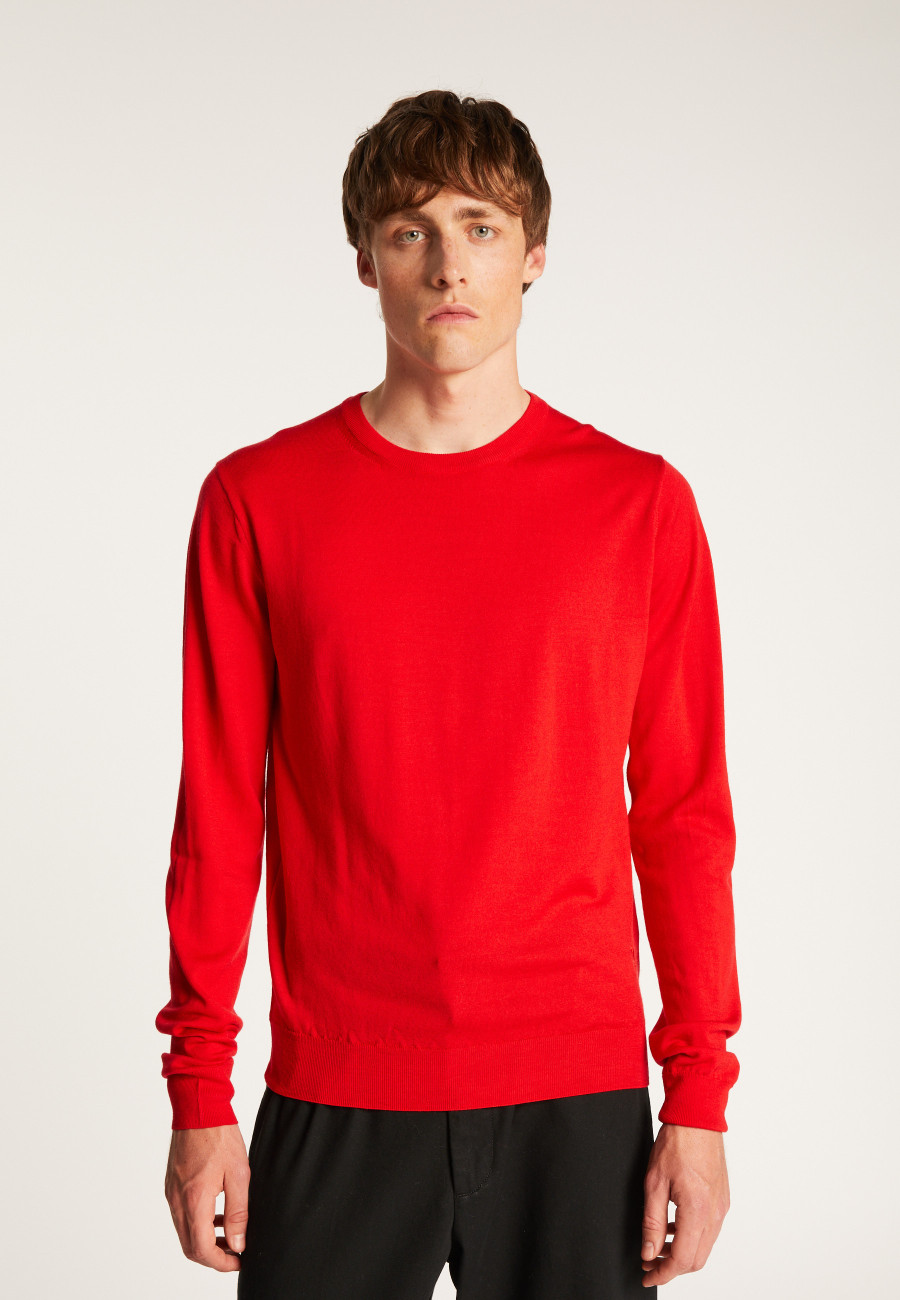 Merino Wool Crewneck Sweater - Eddie