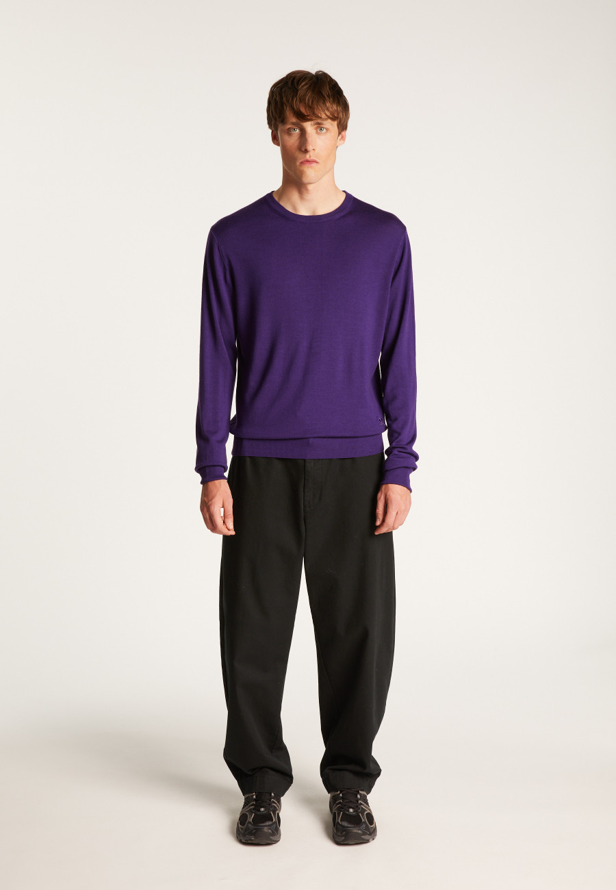 Merino Wool Crewneck Sweater - Eddie