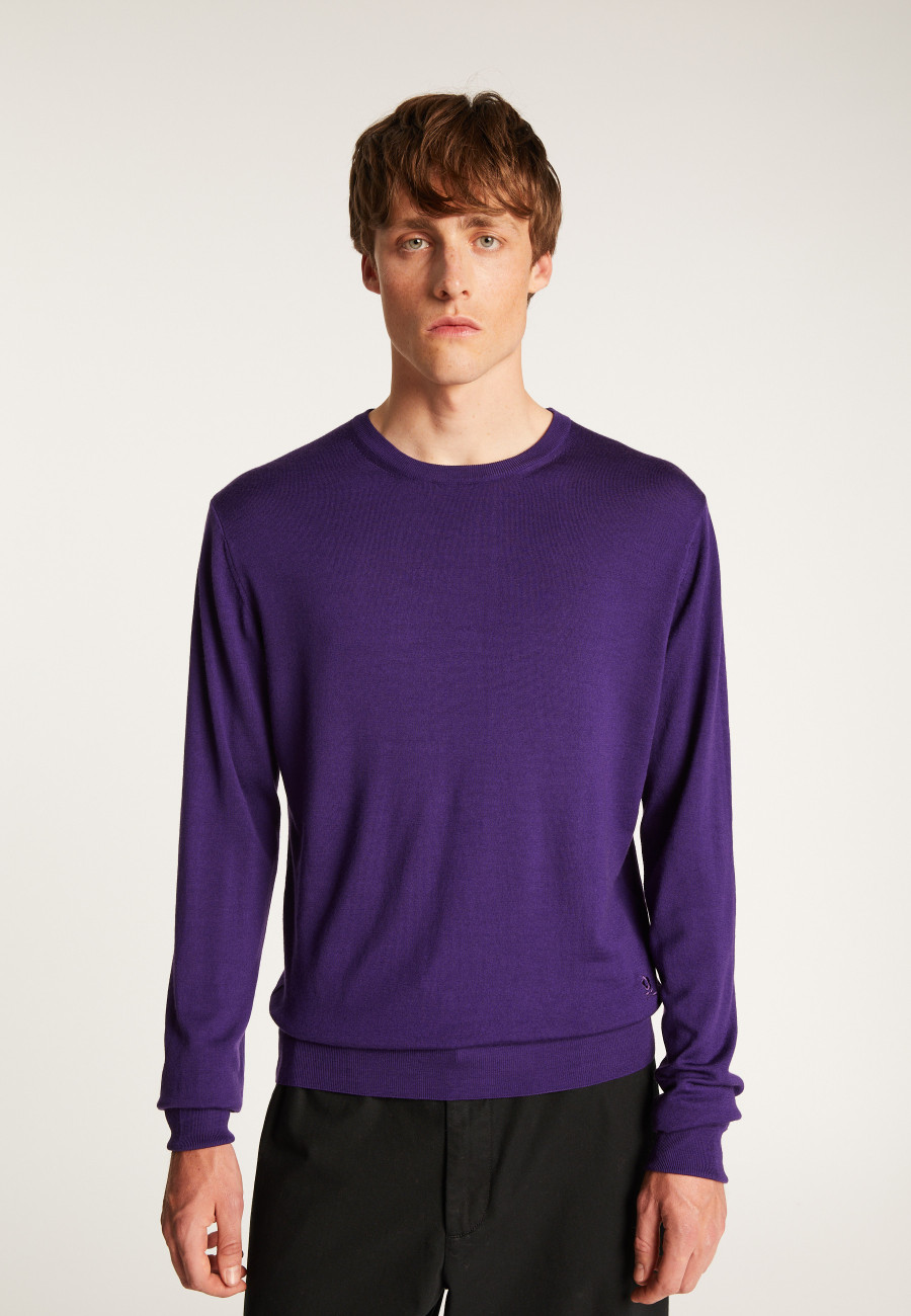 Merino Wool Crewneck Sweater - Eddie