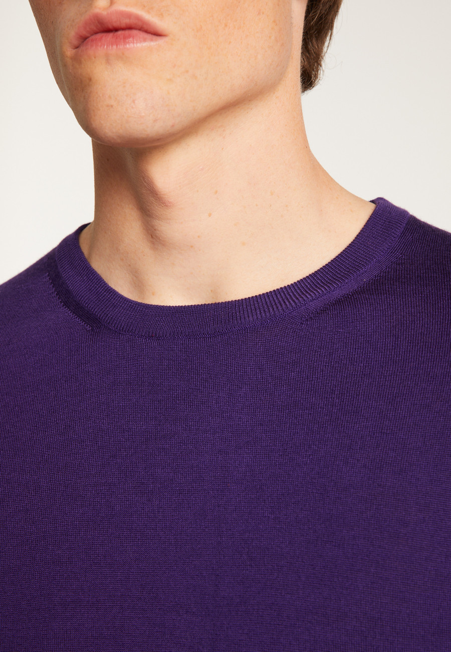 Merino Wool Crewneck Sweater - Eddie