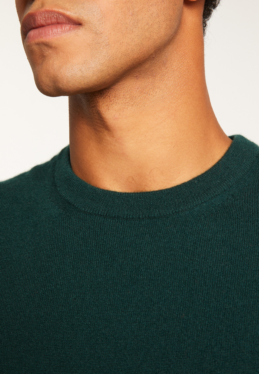 Cashmere Crewneck Sweater - Evain