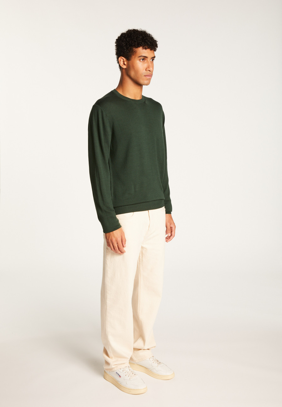 Merino Wool Crewneck Sweater - Eddie