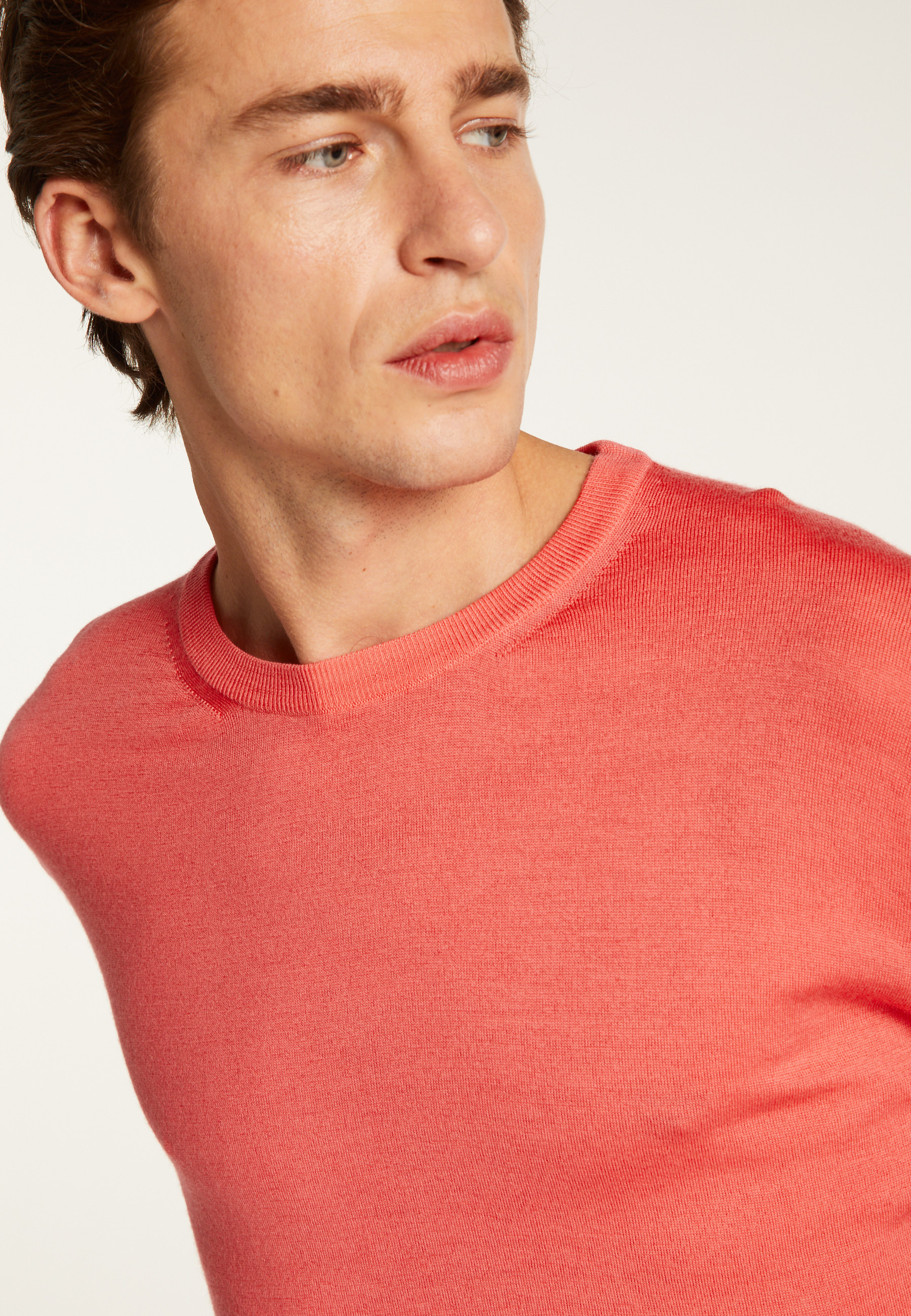 Merino Wool Crew Neck Sweater - Eddie